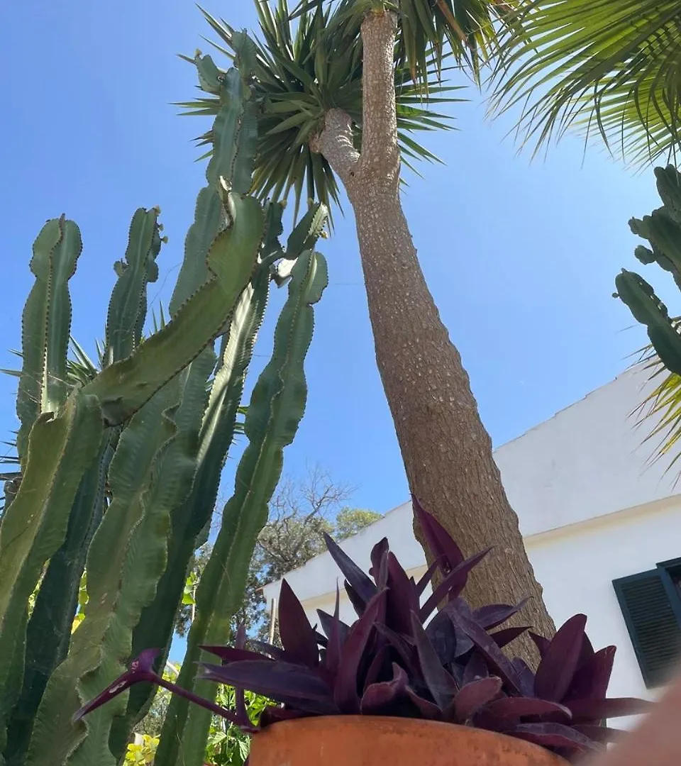 Casa Dieter Cala Galdana  Appartamento Cala Galdana (Menorca)