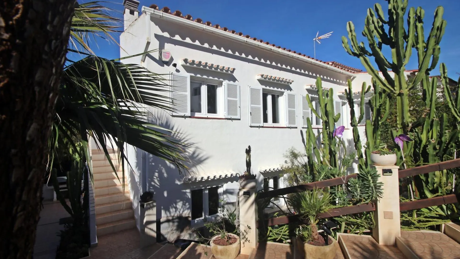 Casa Dieter contacts